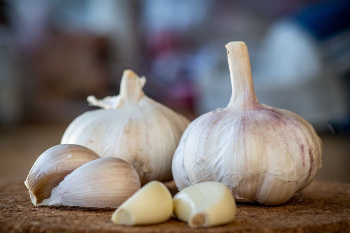 bawang putih utuh dan yang sudah dipotong-potong