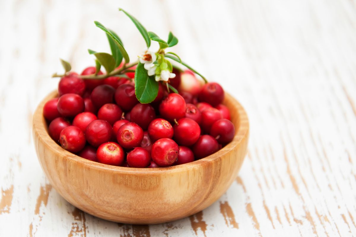Buah cranberries dalam mangkuk kayu