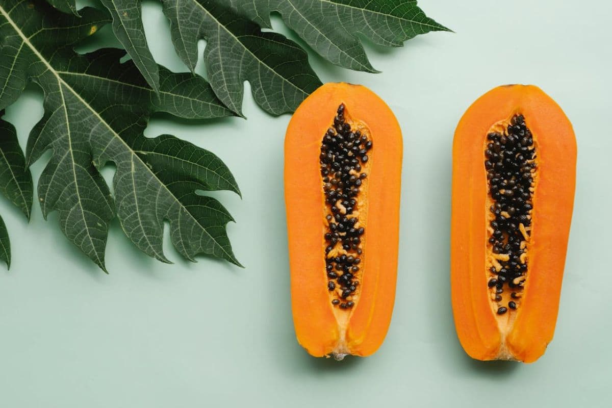 Buah pepaya dan daunnya