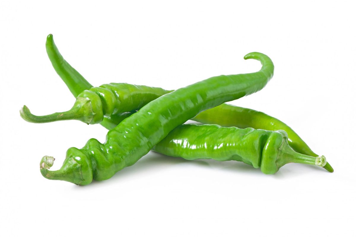 Tumpukan jalapeno segar
