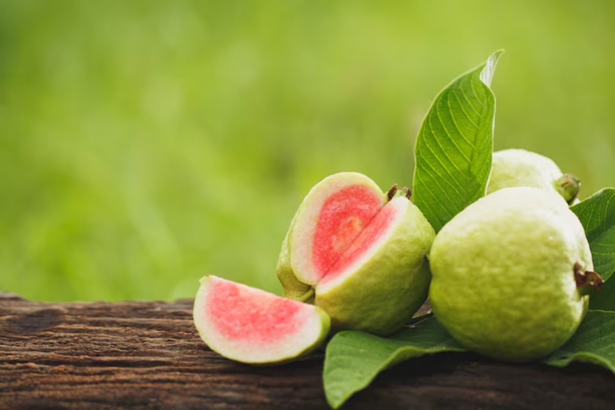 Dua butir jambu biji di atas kayu