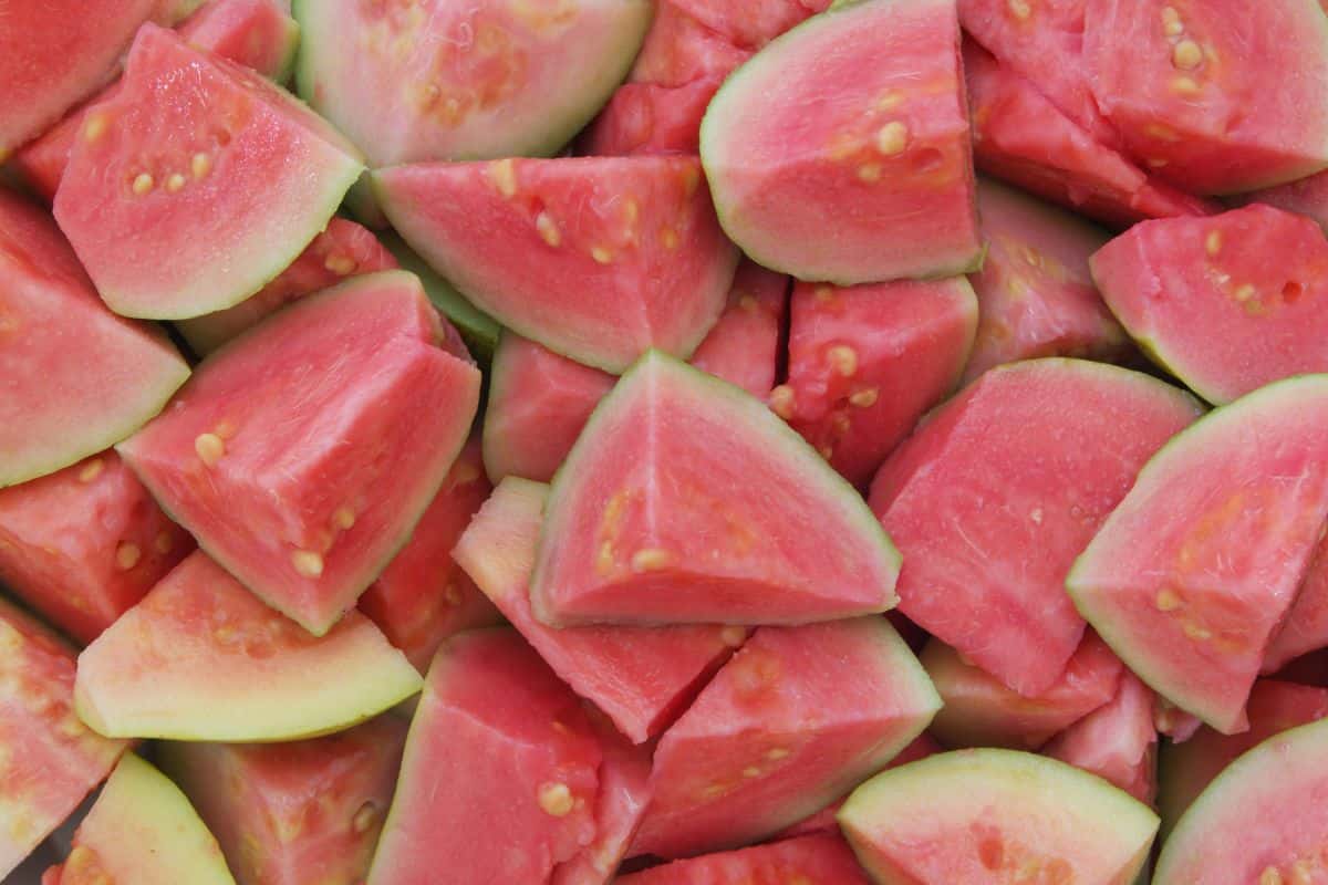 Potongan buah jambu merah segar