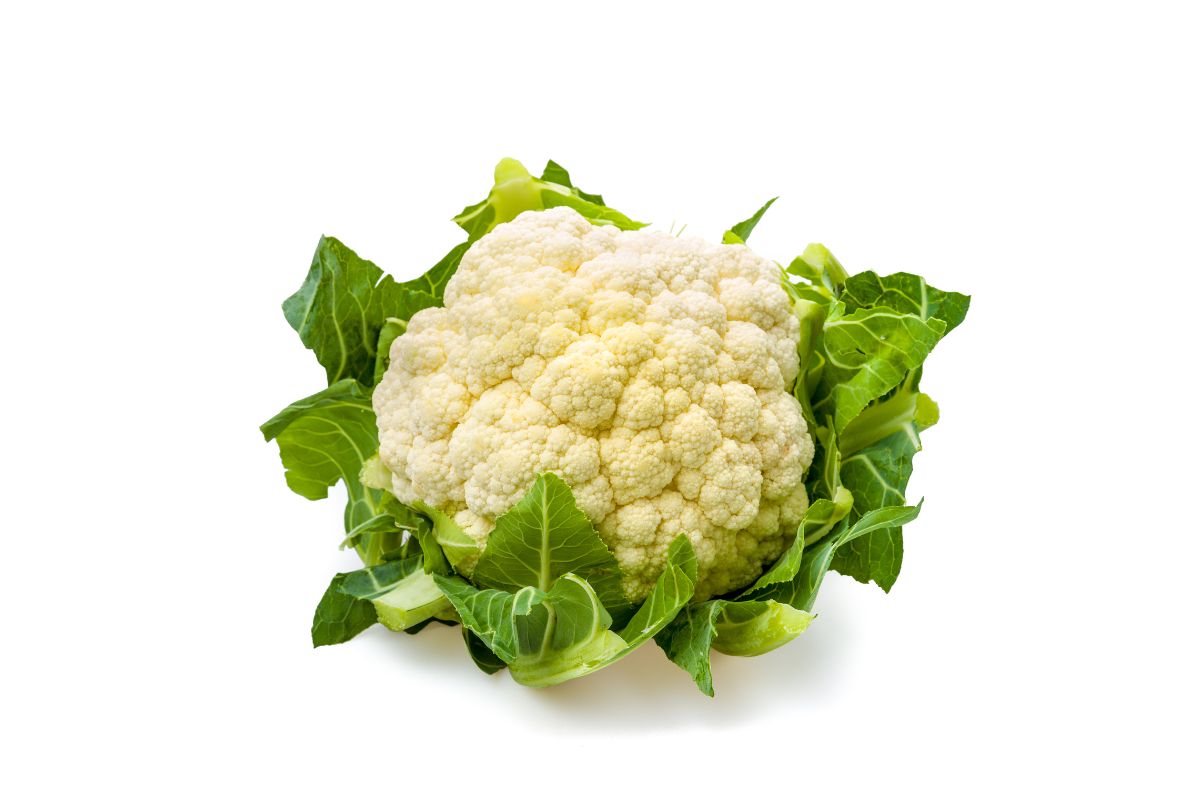 Satu kembang kol segar