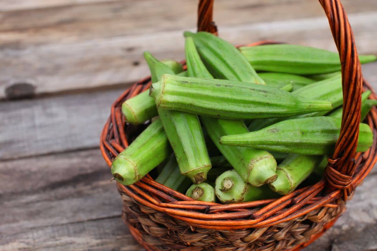Tumpukan okra di dalam keranjang anyam
