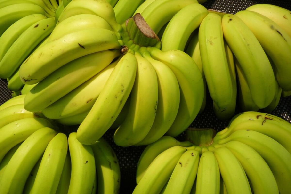 Pisang matang siap makan