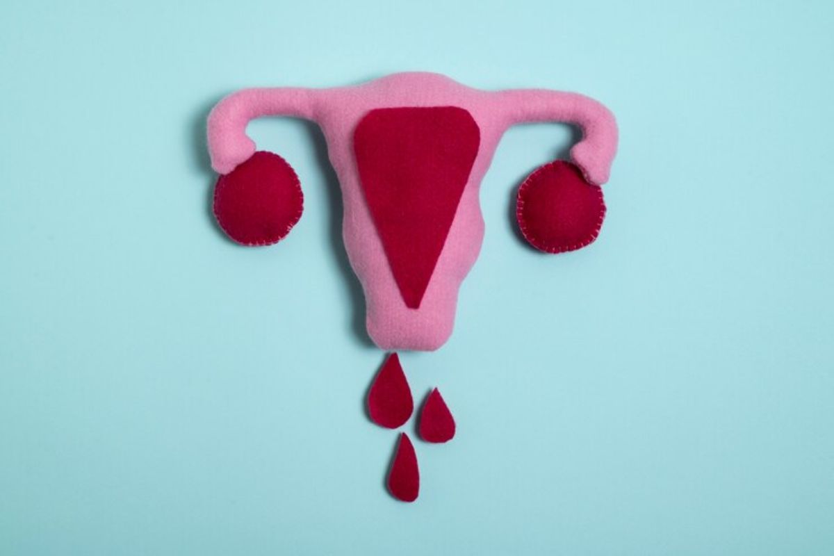 Boneka ovarium yang menggambarkan menstruasi