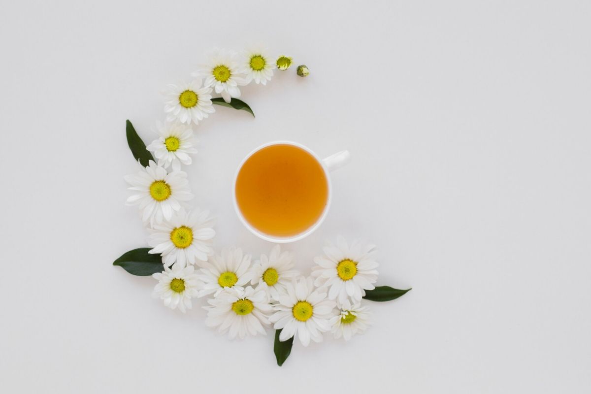 Secangkir teh chamomile