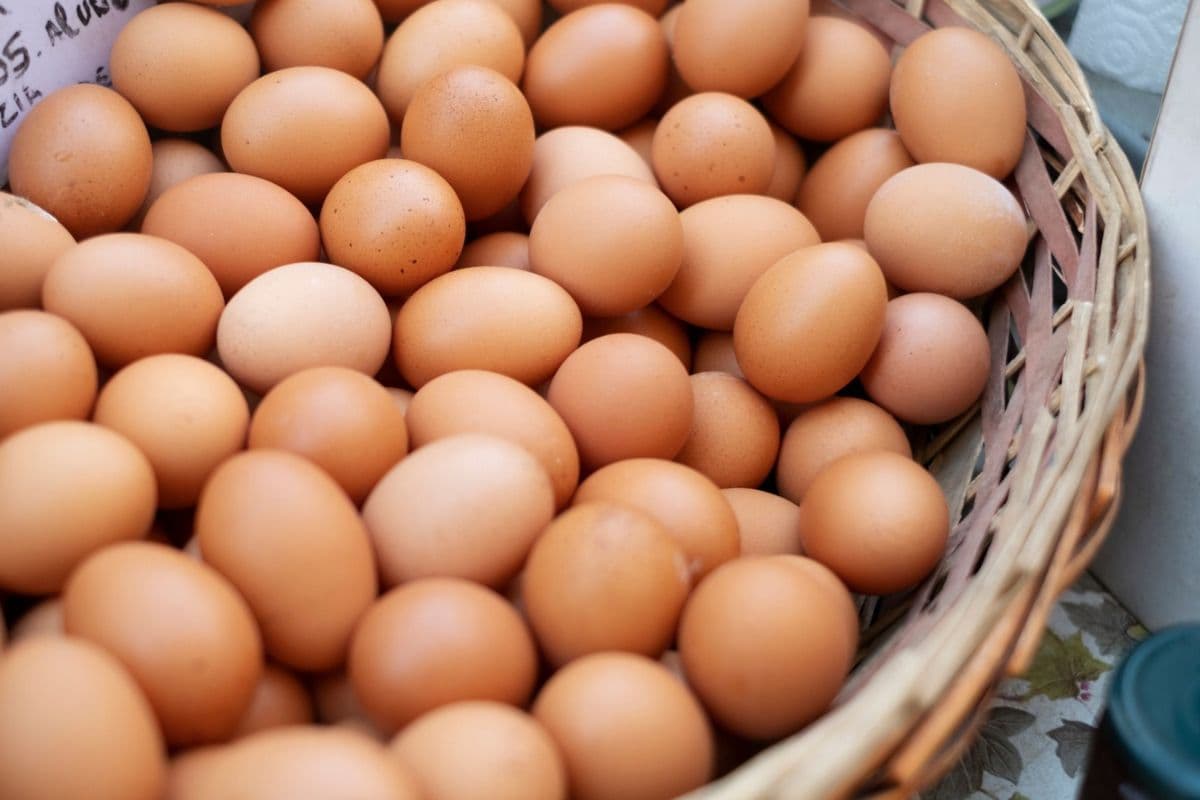 Satu keranjang telur ayam