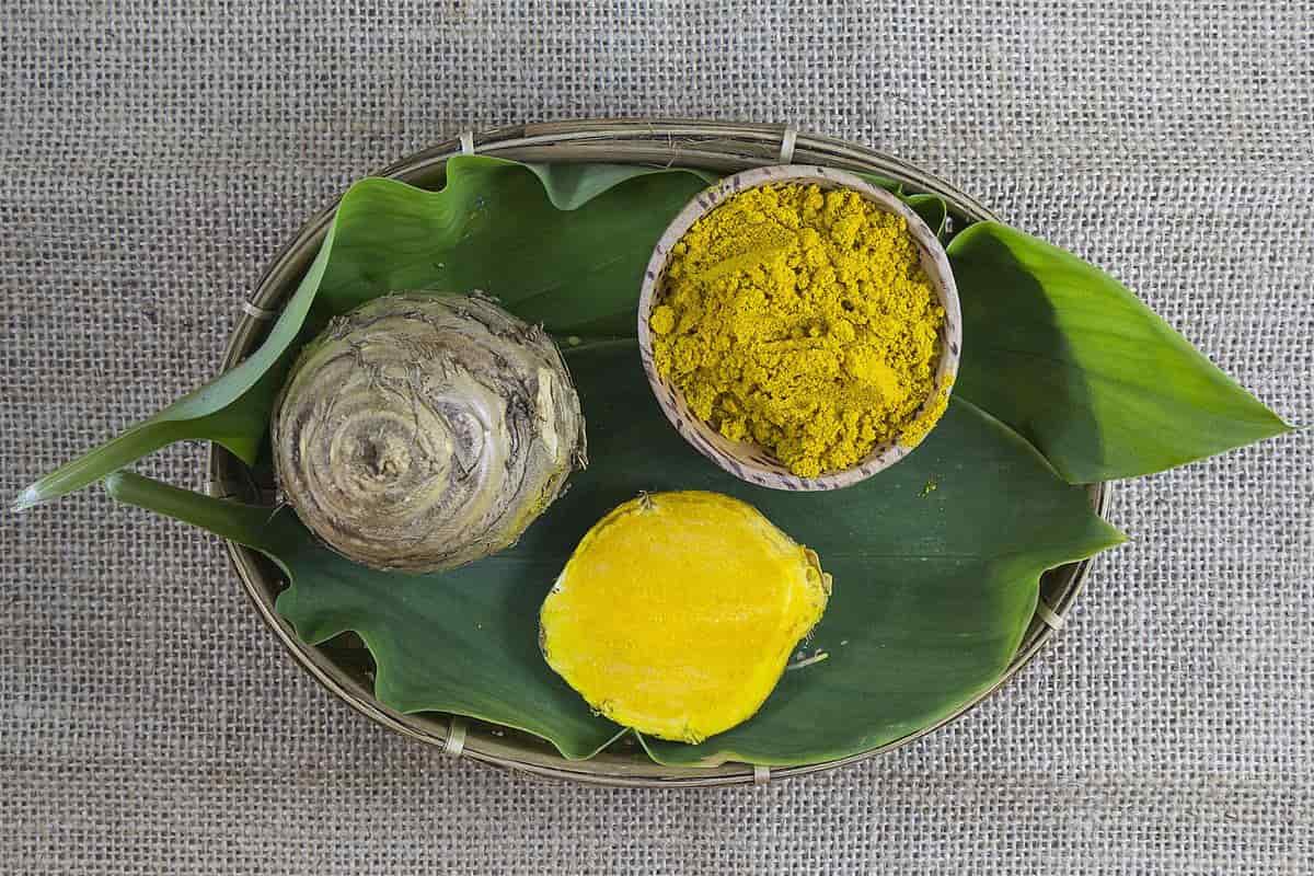 Temulawak segar dan bubuk