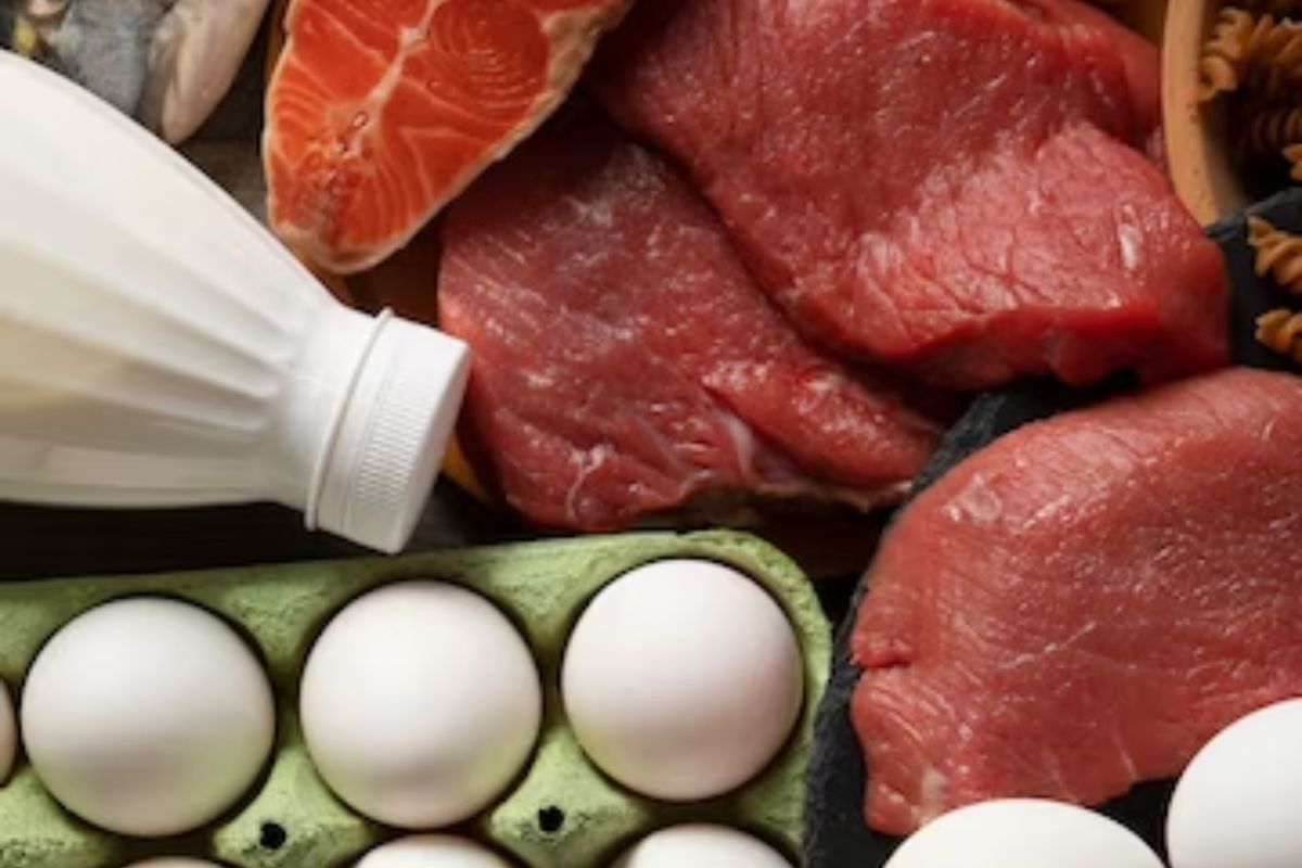 Sumber protein harian