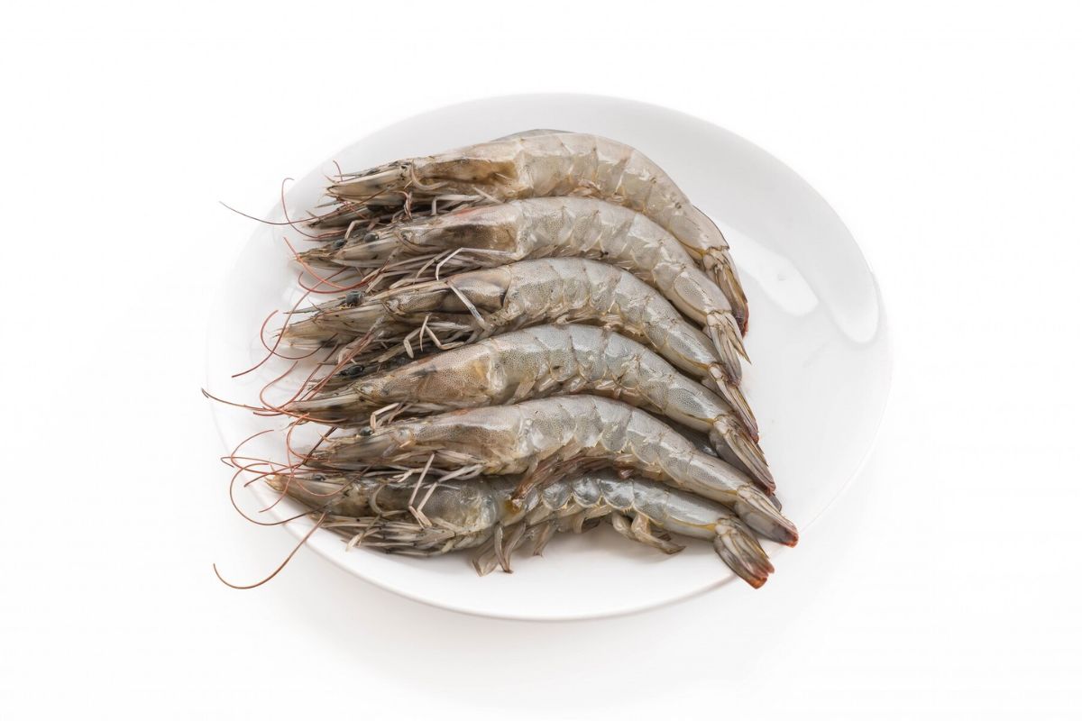 Satu piring udang mentah