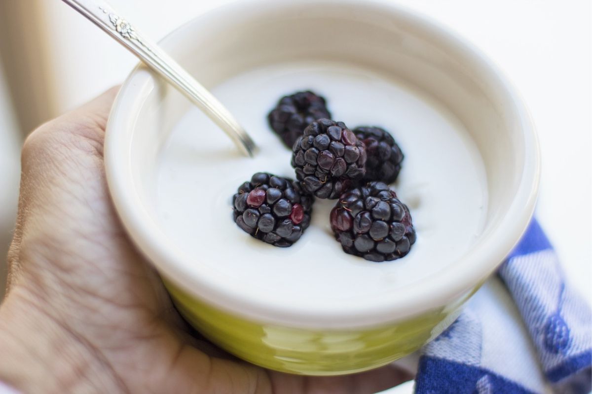 semangkuk yogurt dengan toping blackberry